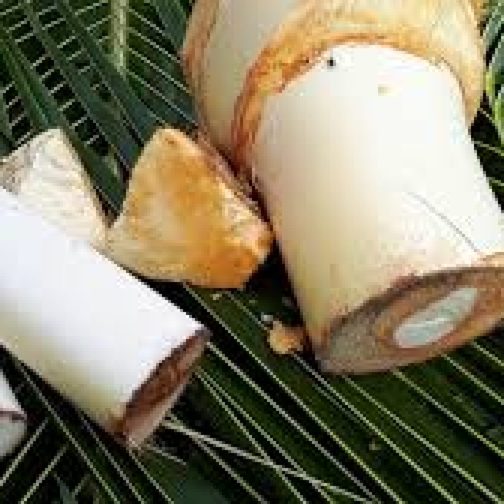 tải xuống (3) tải xuống (3)