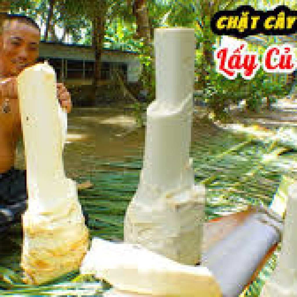tải xuống (4) tải xuống (4)